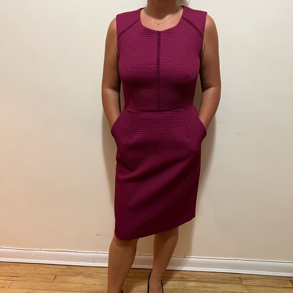 J.Crew Raspberry Shift Dress size 6 - Picture 4 of 11